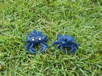 Image 4 of Mini Crystal Crab