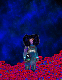 Nebula Garden