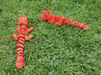 Image 2 of Baby Red/Orange Alicorn Dragon