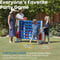 Image of GIANT CONNECT 4
