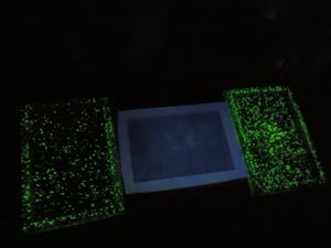 LG Glow-in-the-dark Trays