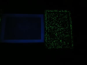 LG Glow-in-the-dark Trays