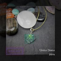 Image 4 of ☽ Urtica Dioica ☾