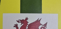 Image 20 of FOOTBALL CLUBS - DARTBOARD SURROUND COVER - PLEASE READ DERSCRIPTION