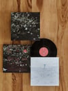 MARCO CASTELLO - PEZZI DELLA SERA LP VINILE REPRESS 2024