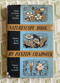 Image 1 of Naturescope Book 4 by Paxton Chadwick