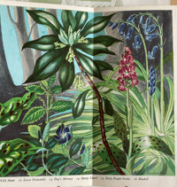 Image 6 of Naturescope book 1 Paxton Chadwick