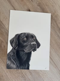 Image 3 of Custom Pet Portraits