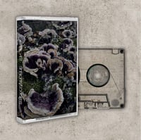 Blame Art - Simbionti/Sorgenti (double single)