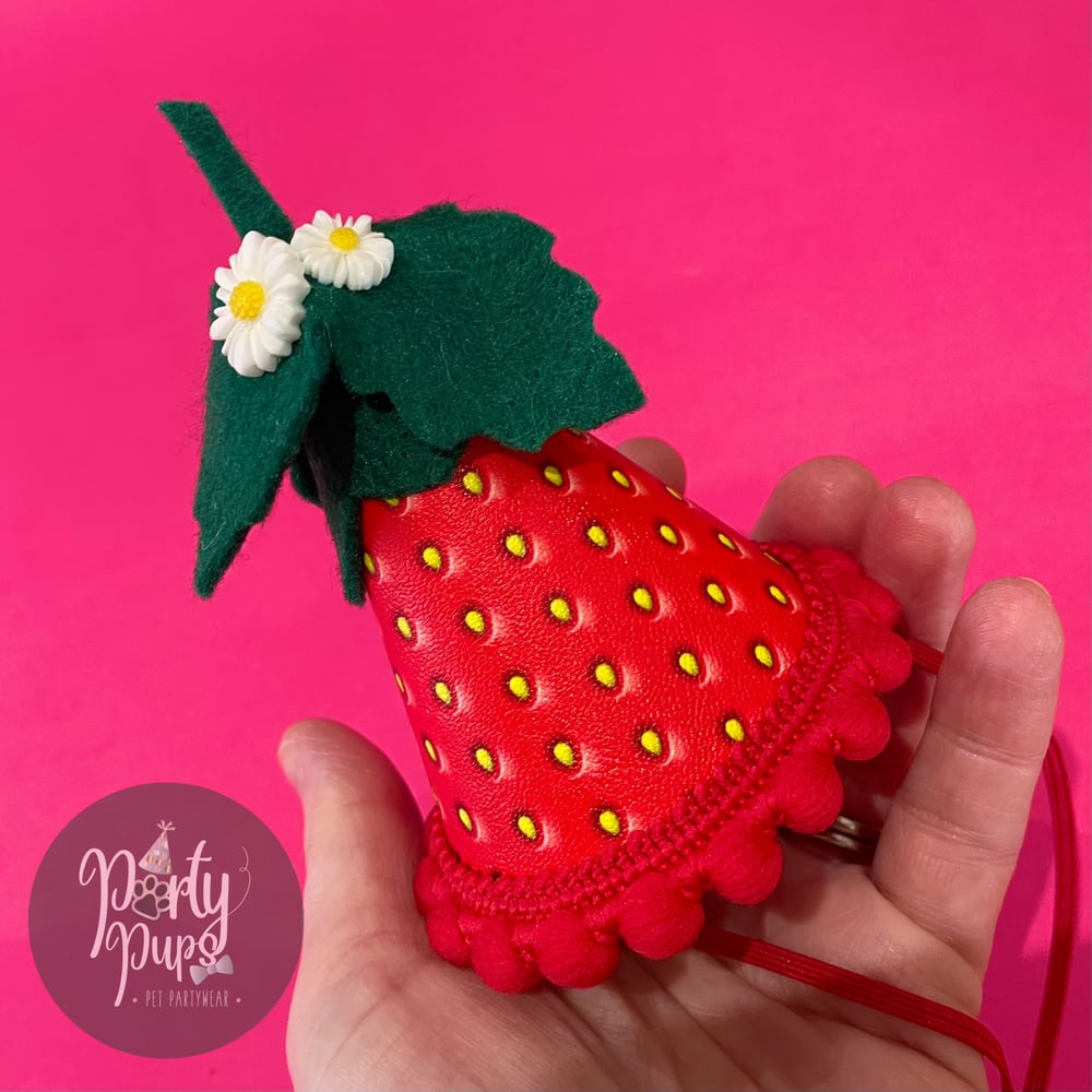 Berry Cute Party Hat & Bow Set