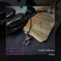 Image 3 of ☽ Viola Odorata ☾