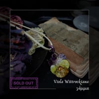 Image 3 of ☽ Viola Wittrockiana ☾