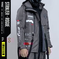 Image 1 of STRIKER - ROGUE