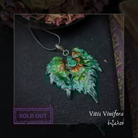 Image 5 of ☽ Vitis Vinifera ☾