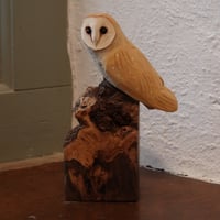 Image 2 of Barn owl