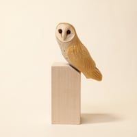 Image 7 of Barn owl