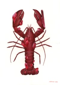 Image 1 of Ruby Lobster Recycled Paper Fine Art Print 