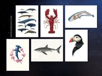 Image 2 of Whale Chart Poster Extra Heavyweight Recycled Matte A3 Fine Art Print