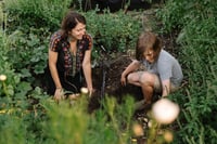 Image 1 of Workshop: Spring Soil Health & Composting, March 30th