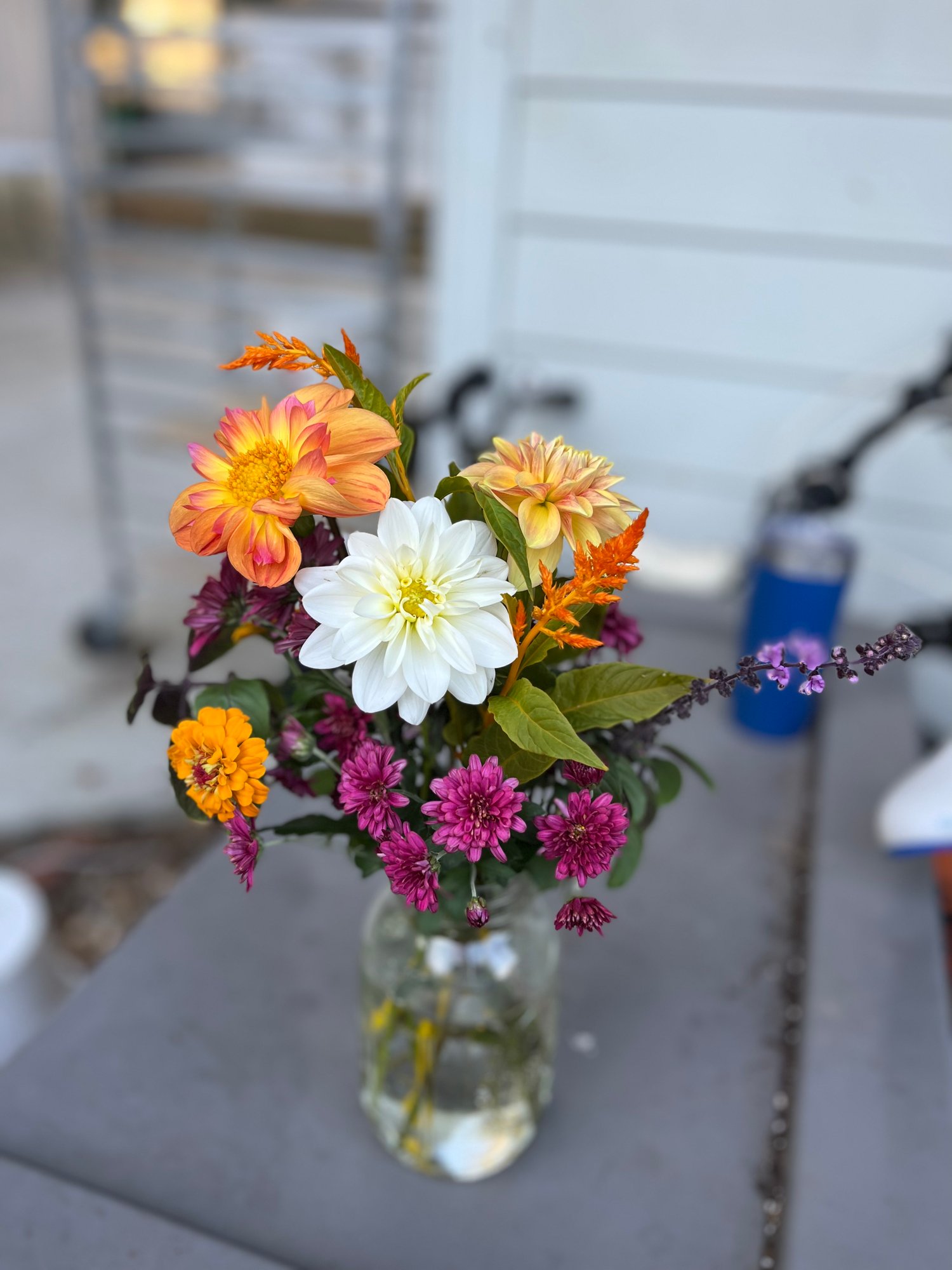 Image of Workshop: Growing Great Dahlias