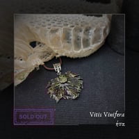 Image 7 of ☽ Vitis Vinifera ☾