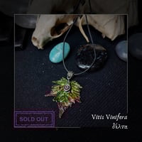 Image 4 of ☽ Vitis Vinifera ☾