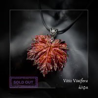 Image 1 of ☽ Vitis Vinifera ☾