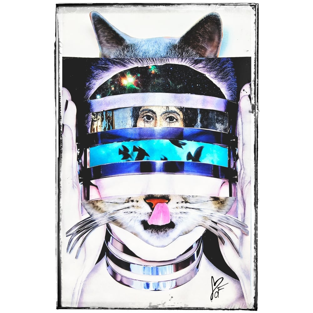 Cats Meow Cropped Hoodie