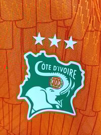 Image 7 of Ivory Coast 24/25 Puma Home Jersey