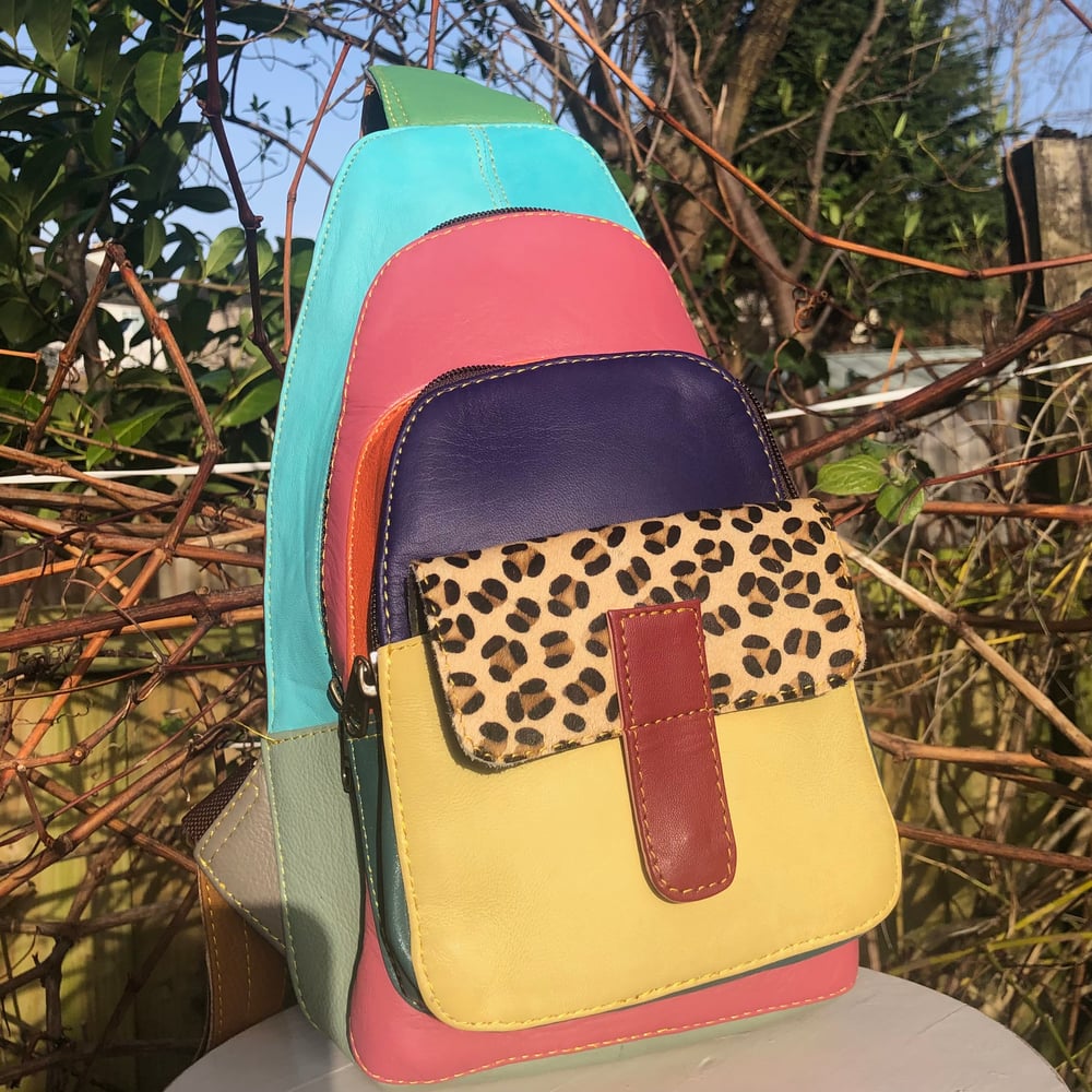 Image of Harlequin Collection - Multicoloured Crossbody One Strap #9B