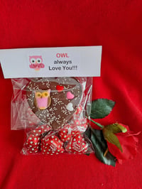 OWL always love you!