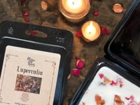 Image 1 of Lupercalia botanical wax melts