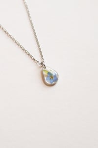 Image 1 of Real Pressed Flower Blue Forget Me Not Delicate Leaves Hawthorn Stainless Steel Frame Necklace Re...