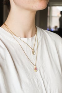 Image 4 of Real Pressed Flower Blue Forget Me Not Delicate Leaves Hawthorn Stainless Steel Frame Necklace Re...