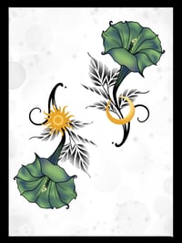 Celestial Harmony