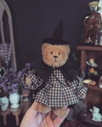 Witchy bear 