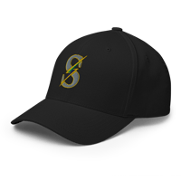 FlexFit Cap