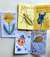 Beetle Zine