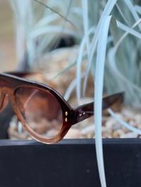 Image 2 of Brown Aviator Style Sunglasses 