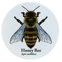 Image 1 of Honey Bee Ceramic Coaster - Nature's Delights Collection