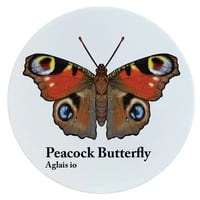 Image 1 of Peacock Butterfly Ceramic Coaster - Nature's Delights Collection