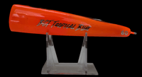 Image 2 of 60g Bubz Orange Silver Wing