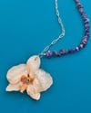 Statement | Phalaenopsis