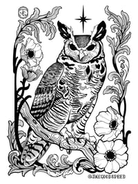 Owl Print