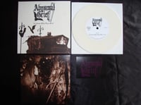 Image 4 of Abysmal Grief "Celebrate what they fear" 7" EP