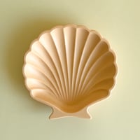 Image 2 of Tray SHELL “Candy”