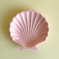 Image 3 of Tray SHELL “Candy”