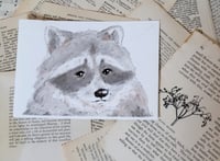 Image 1 of Wild Rascal 