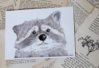 Image 1 of Woodland Rogue