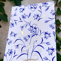 Image 2 of Vipère et campanules